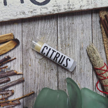 Load image into Gallery viewer, Citrus Beeswax Lip Balm - Earth & Anchor Soap Co.